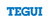 Monitor Tegui Classe 100V16B 374511 Tegui Bticino Legrand