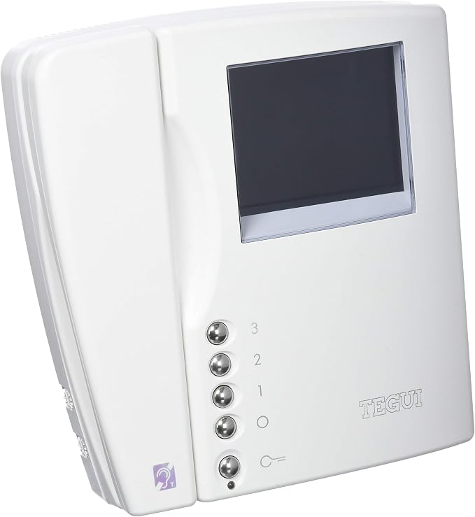Tegui 374455: el monitor que controla dos puertas de entrada